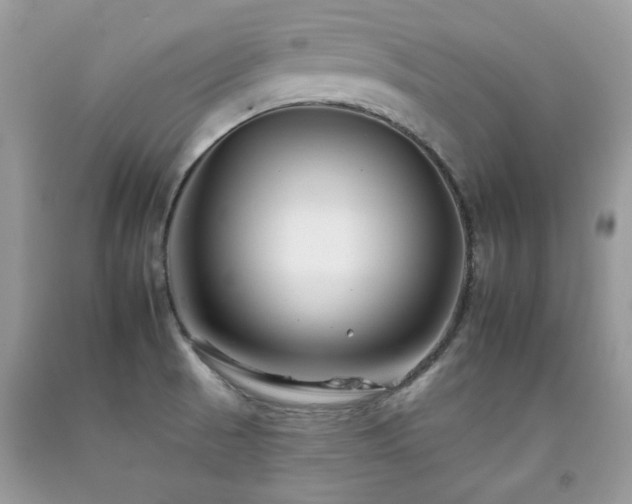 X0000092261521200709141158