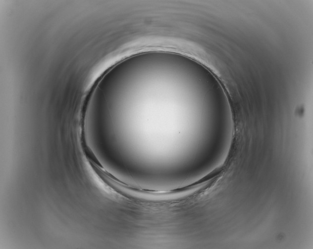 X0000092261523200709141158