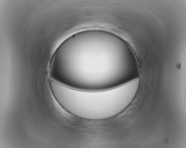 X0000092261524200709141158