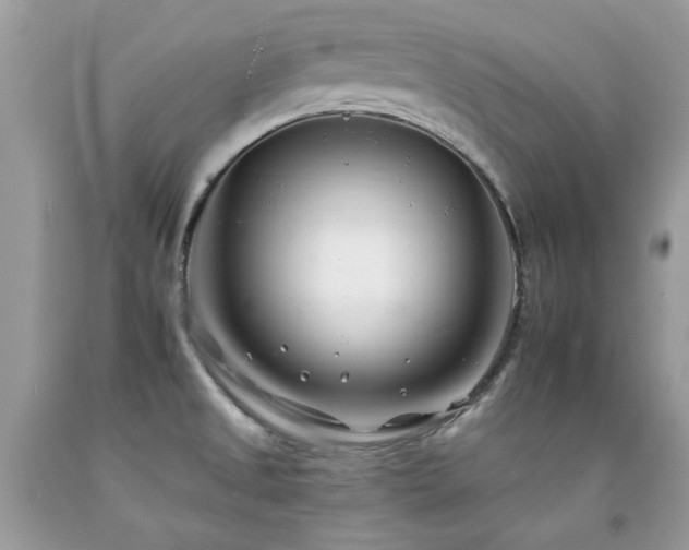 X0000092261525200709141158