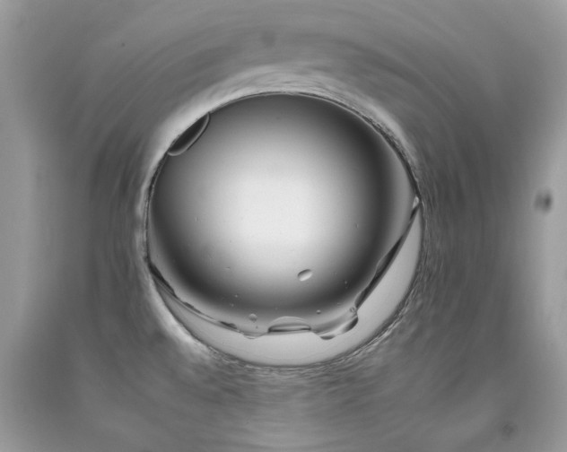 X0000092261528200709141158