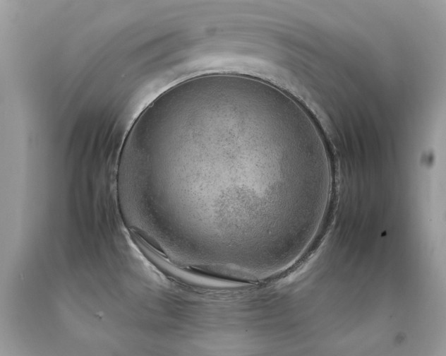 X0000092261529200709141158