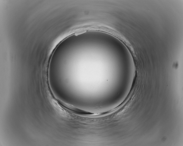 X0000092261530200709141158