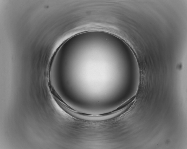 X0000092261531200709141158