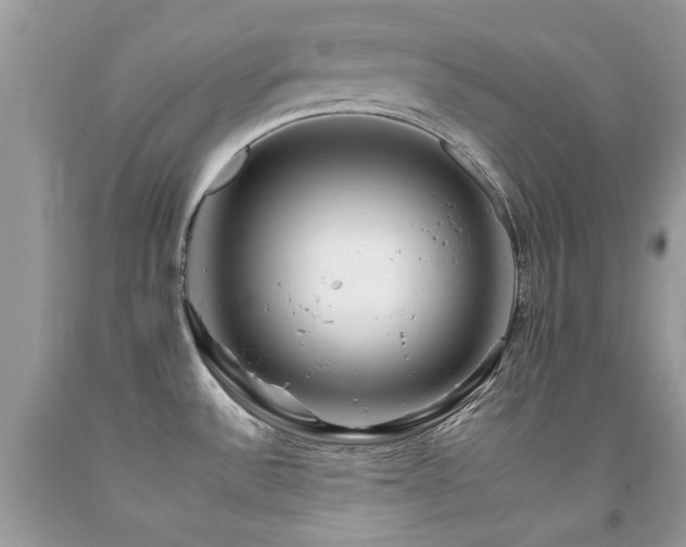 X0000092261532200709141158