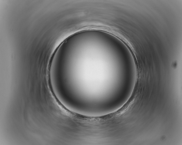 X0000092261533200709141158
