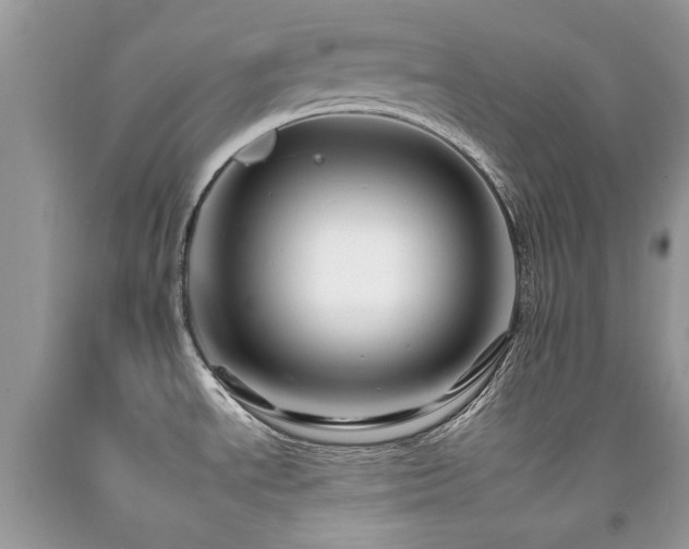 X0000092261534200709141158