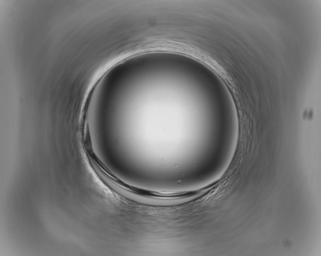 X0000092261536200709141158