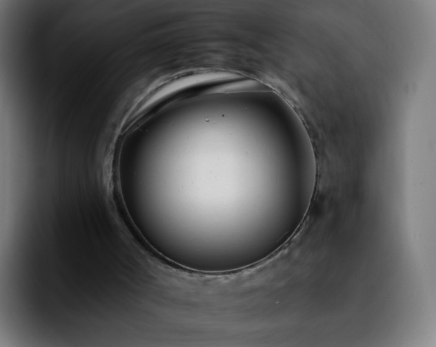 X0000092260002200709211127