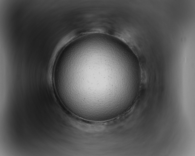 X0000092260004200709211127