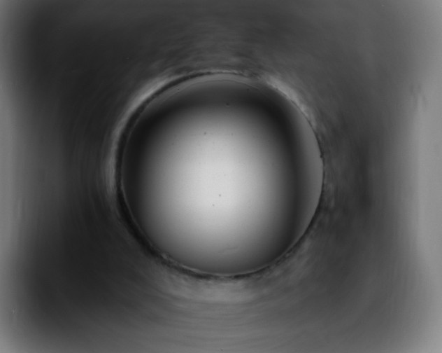 X0000092260008200709211127