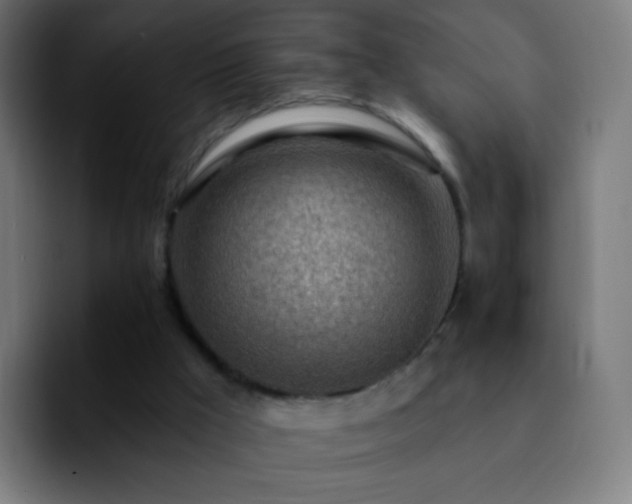 X0000092260009200709211127