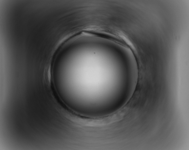 X0000092260011200709211127