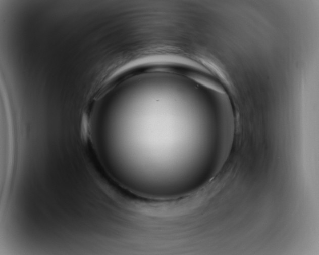 X0000092260013200709211127