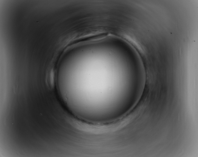 X0000092260014200709211127