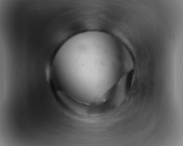 X0000092260019200709211127