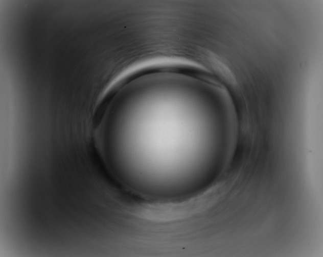 X0000092260025200709211127