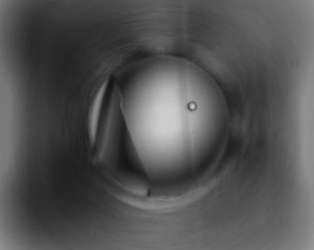 X0000092260027200709211127