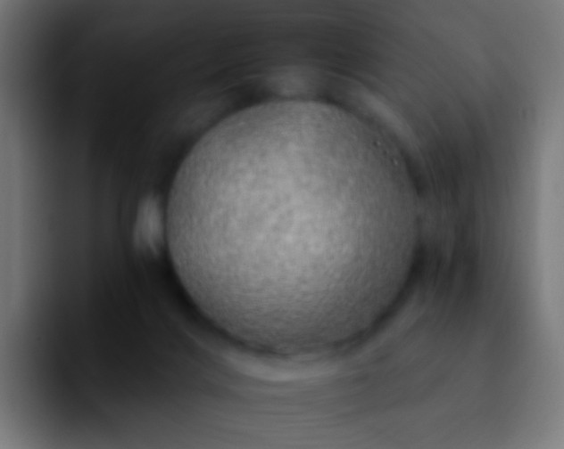 X0000092260028200709211127