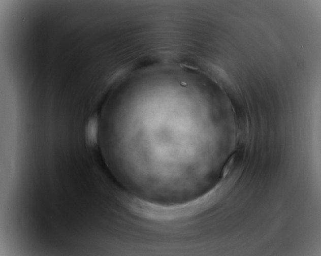 X0000092260047200709211127