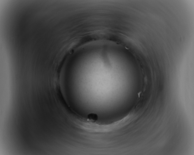 X0000092260048200709211127