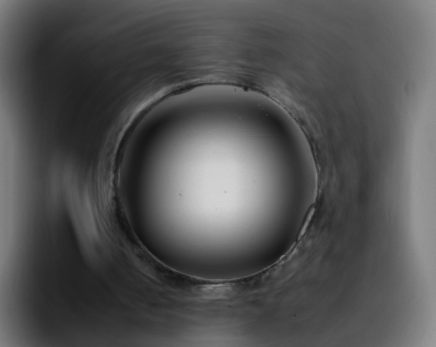 X0000092260050200709211126