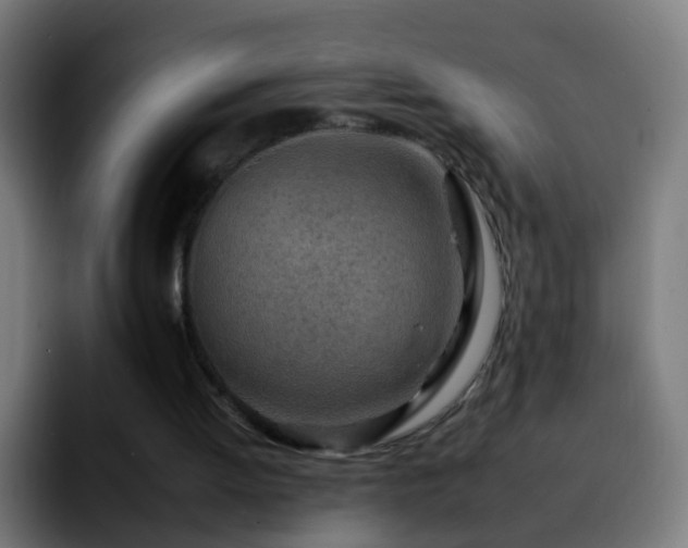 X0000092260052200709211126