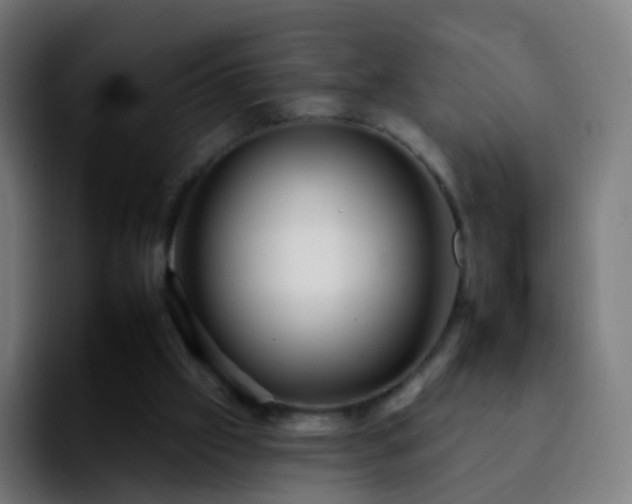 X0000092260057200709211126