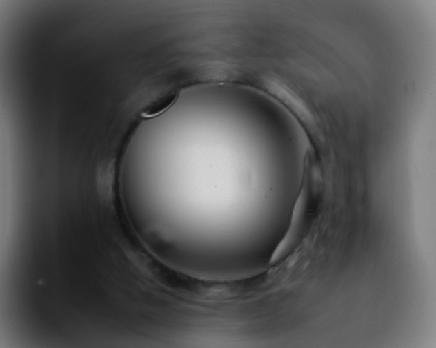 X0000092260058200709211126