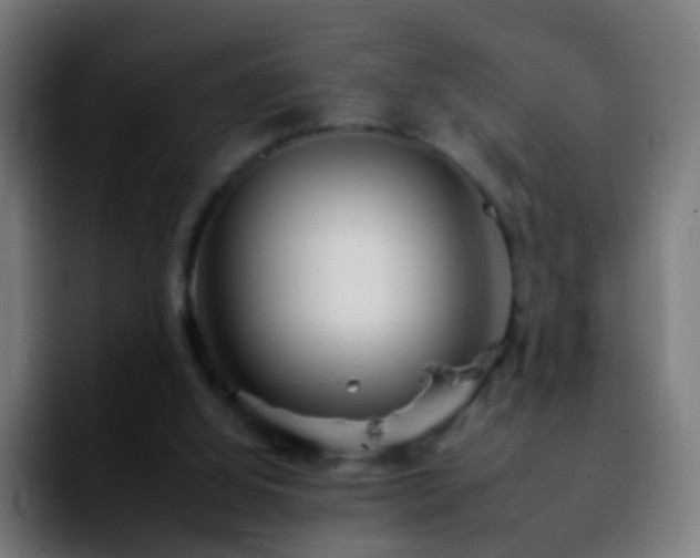 X0000092260060200709211126