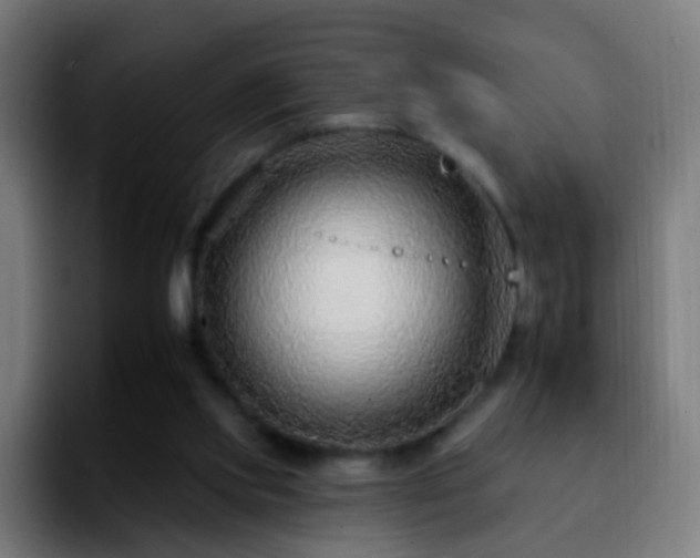 X0000092260061200709211126