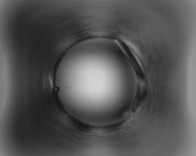 X0000092260062200709211126