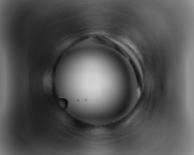 X0000092260063200709211126