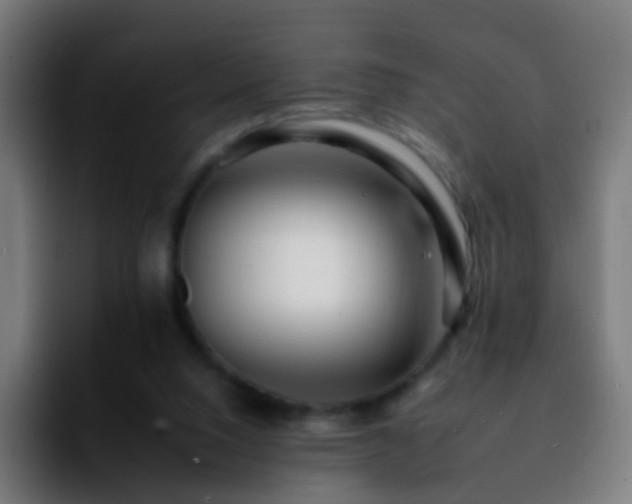 X0000092260064200709211126