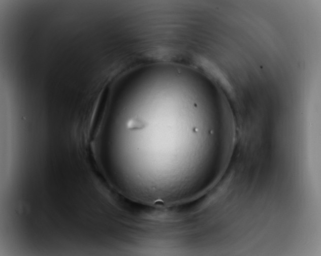 X0000092260065200709211126