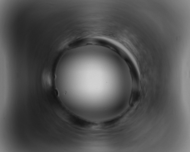 X0000092260068200709211126