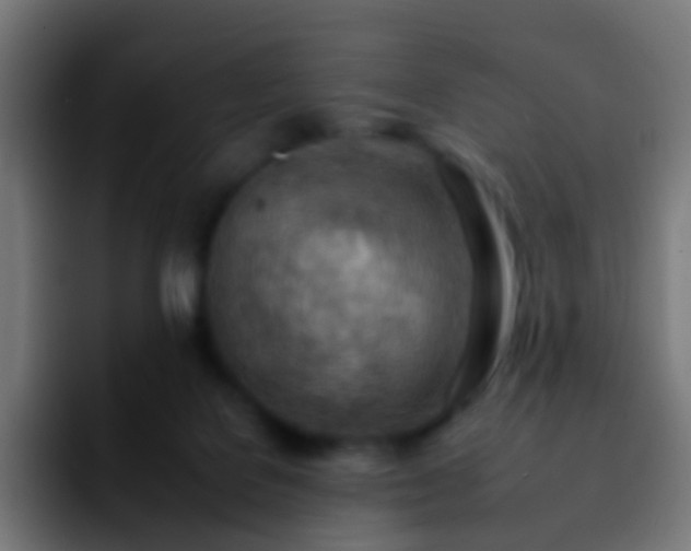 X0000092260076200709211127