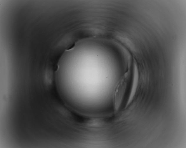 X0000092260077200709211127