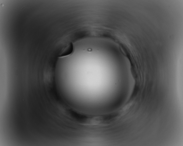 X0000092260078200709211127