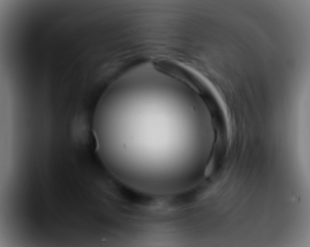 X0000092260080200709211127