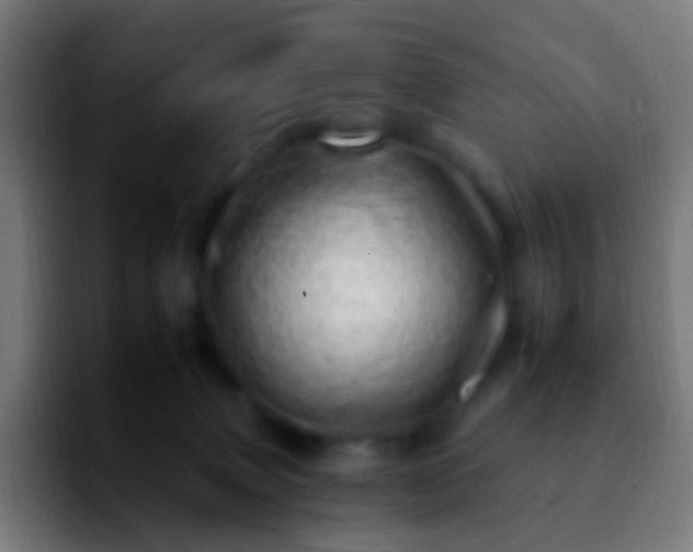 X0000092260083200709211127