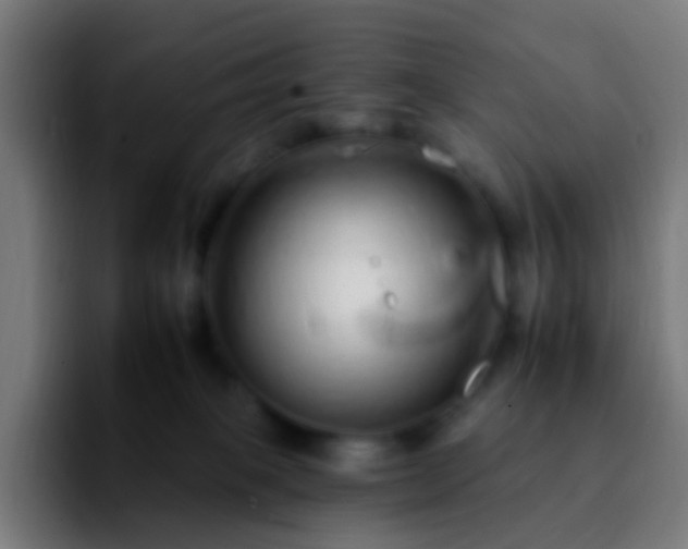 X0000092260085200709211127