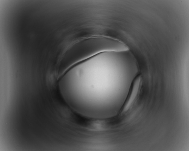 X0000092260088200709211127