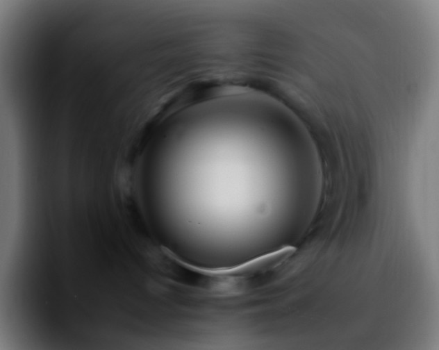 X0000092260096200709211127