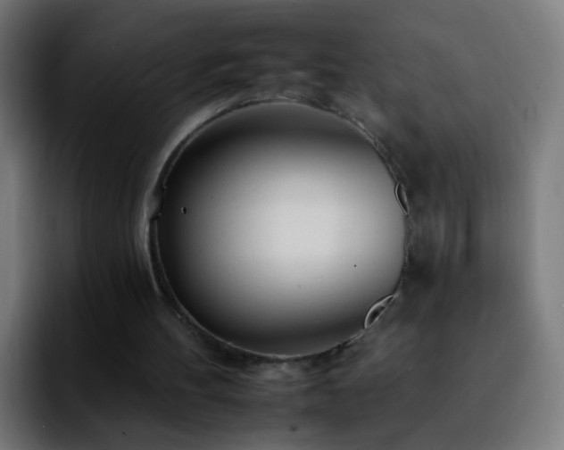 X0000092260100200709211126