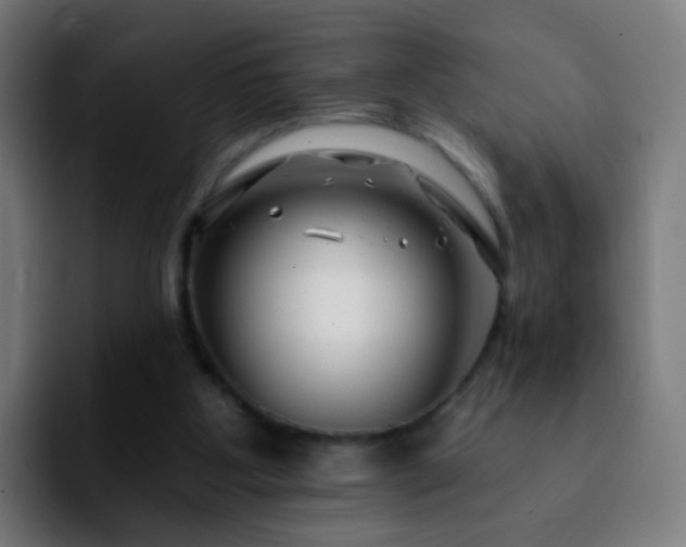 X0000092260107200709211126