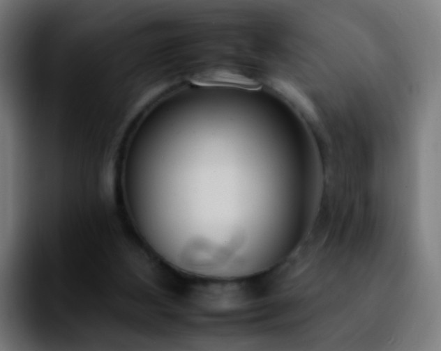 X0000092260108200709211126