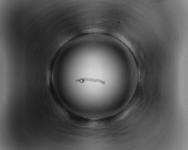 X0000092260109200709211126