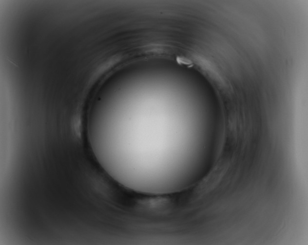 X0000092260112200709211126