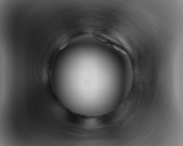 X0000092260114200709211126